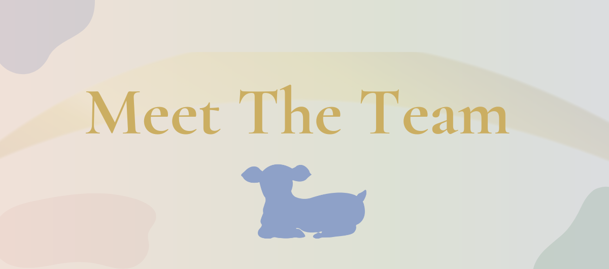 Little Lamb OT Meet the Team