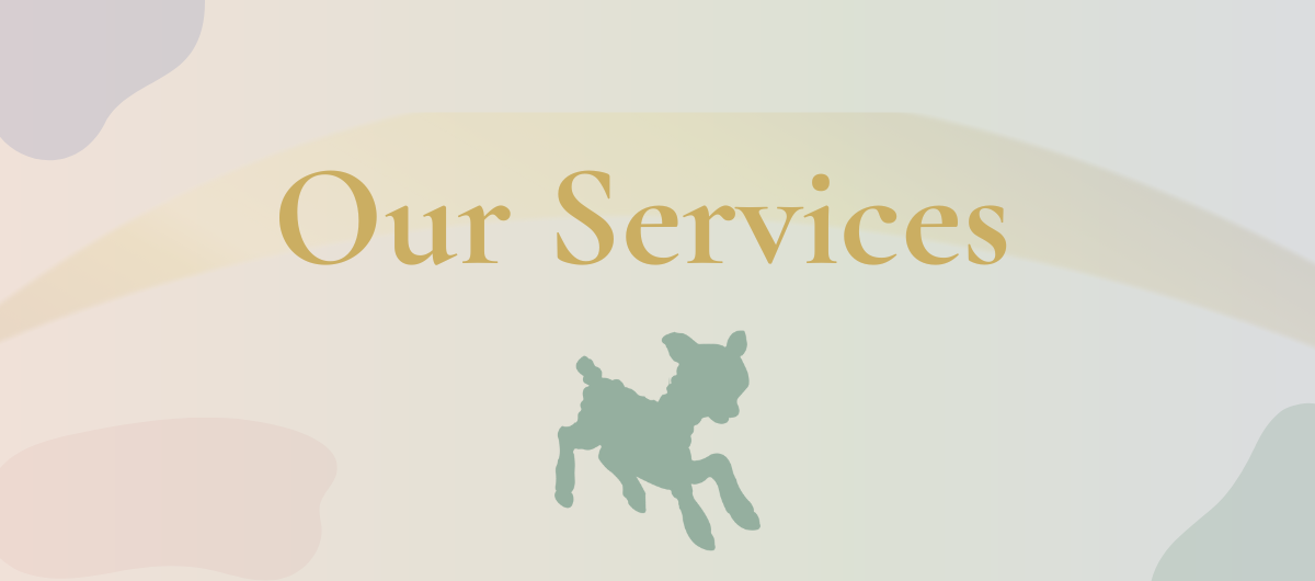 Little Lamb OT Our Services