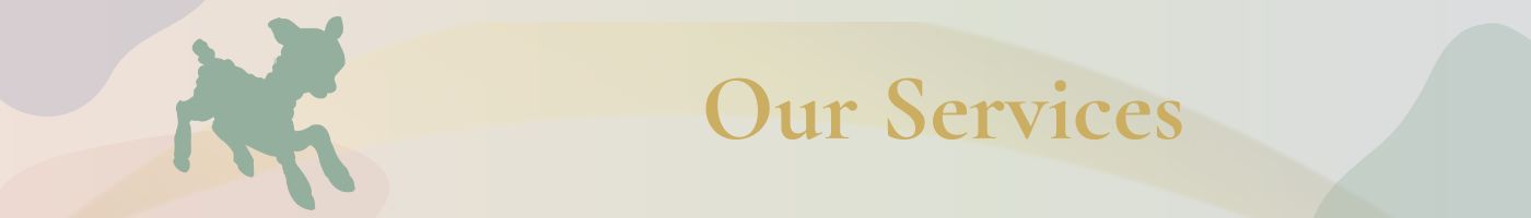 Little Lamb OT Services