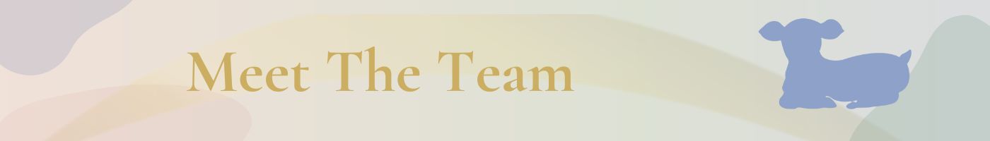 Meet the team at Little Lamb OT