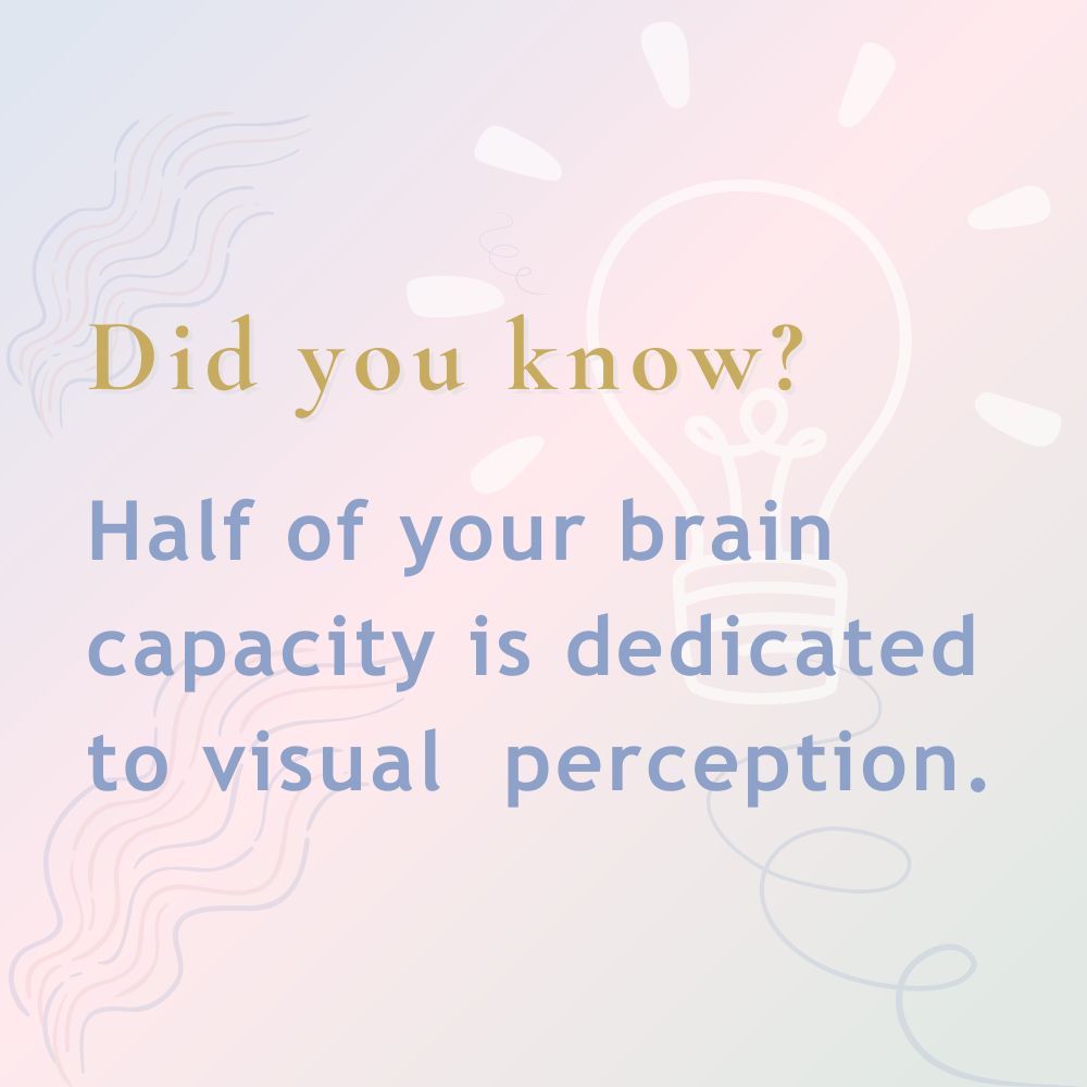 Did you know? Half of your brain capacity is dedicated to visual perception. Little Lamb OT